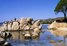 华为广告推广：关于RTA的常见问题