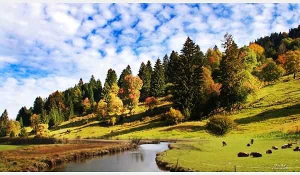 淘宝违规行为分为哪两种（淘宝规则一般分为的种类）