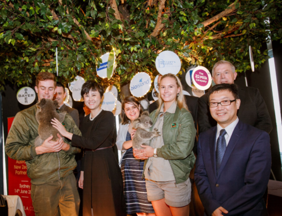 网易考拉海购好评回复（网易考拉海购的评论方式）