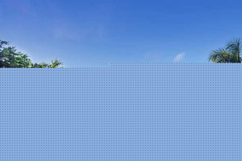 高考志愿怎么填？北京理工大学珠海学院招生处