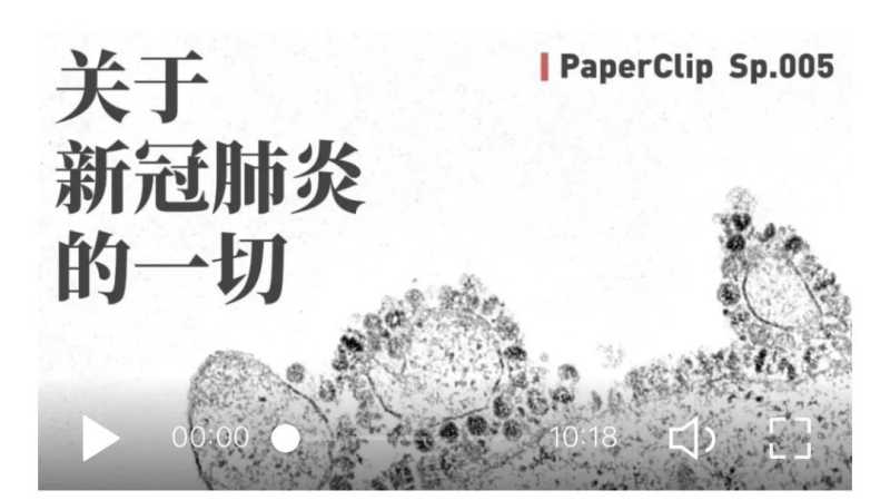 广州网易广告投放让2020年的开头闹心又刻骨铭心