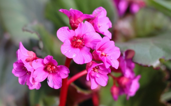 网易信息流广告流程有哪些？网易现在跑加粉成本需要多少钱呢？