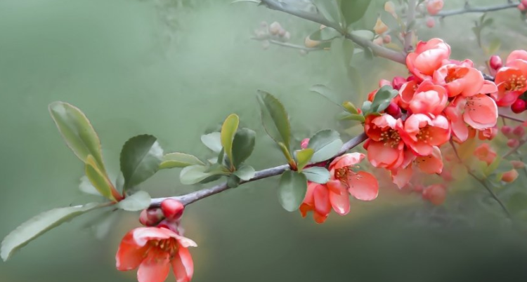 网易信息流广告投放技巧有哪些？网易代理商电话是多少？