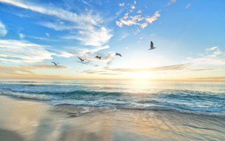 陌陌多少钱可以开户？陌陌跑二手车成本多少？