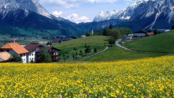 魅族推广怎么做?跑减肥行业效果好吗? 魅族推广怎么做?跑减肥行业效果好吗?