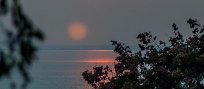 wps信息流广告怎么收费？WPS跑健身器材成本是多少？