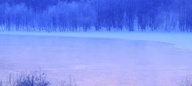 wps现在跑杯子返点多少？有哪些政策？