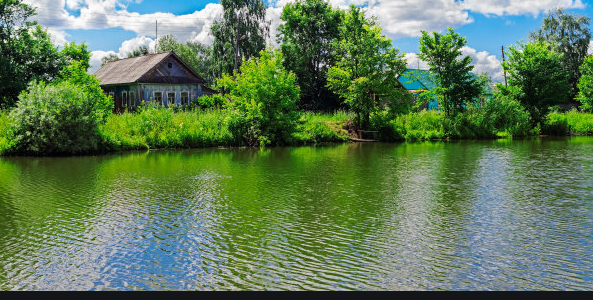 智慧树茶叶广告投放技有哪些？智慧树开户代理商电话是多少？