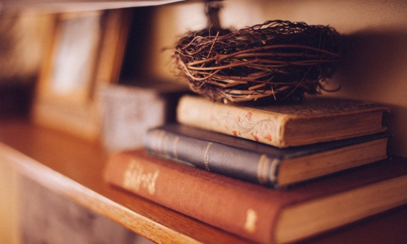 智慧树广告展现形式有哪些？智慧树跑厨具广告需要多少费用？