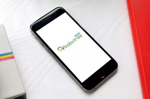 宝宝树广告后台如何操作？