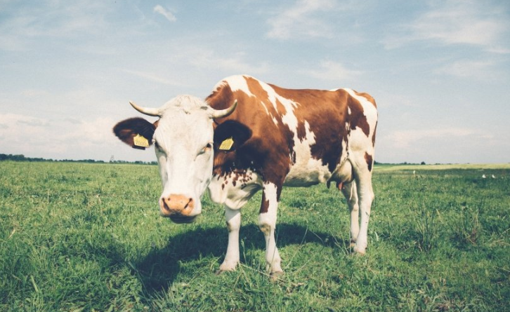 懂球帝现在跑文具成本需要多少钱？懂球帝现在跑笔类成本多少？