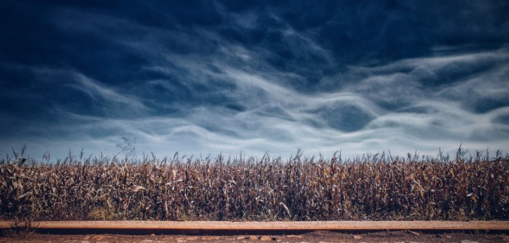 懂球帝现在跑文具成本需要多少钱？懂球帝现在跑笔类成本多少？