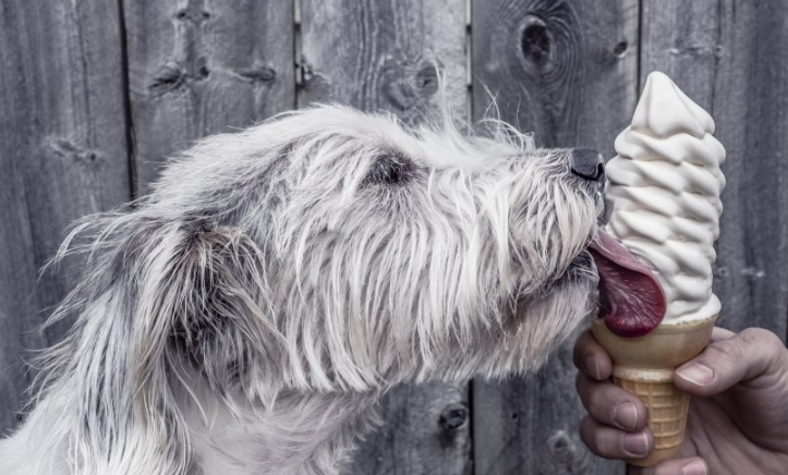 懂球帝信息流广告账户开通需要多少钱呢？懂球帝代理商是哪家？