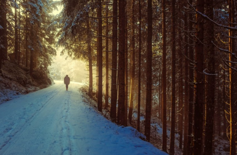 智慧树推广怎么做？智慧树信息流有哪些开户优惠活动​？