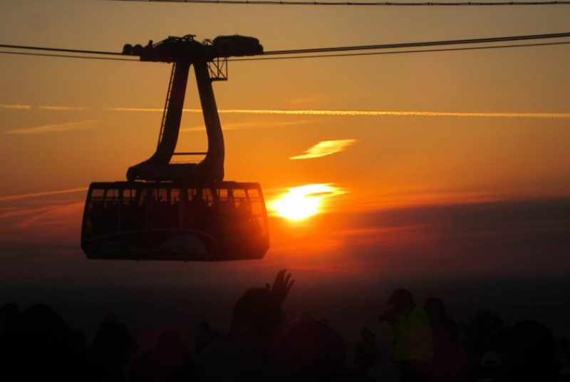 智慧树信息流广告价格大致是多少？智慧树跑服装成本多少？