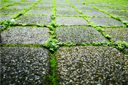 高高德地图投放广告平台联合未来交通报告！