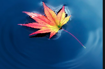 skype推广电话是多少？skype信息流广告怎么做？