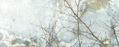 猎豹浏览器搜索广告怎么收费？猎豹浏览器跑餐具成本是多少？