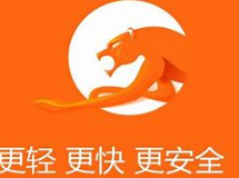 猎豹浏览器和搜狗浏览器哪个好？都是通过应用商店安装的。