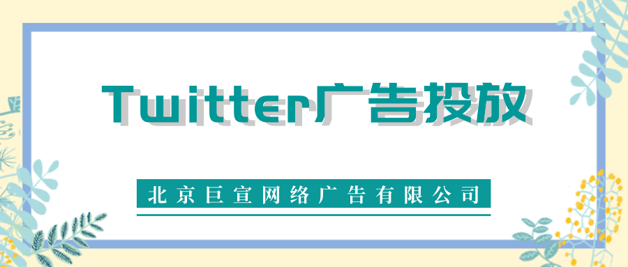 Twitter广告投放：推文和视频活动仪表板