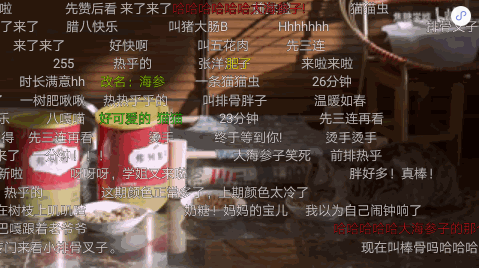 宠物品牌广告怎样借助哔哩哔哩达人推广营销？