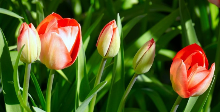 优酷视频广告怎么做？优酷视频现在跑纸业成本多少钱？