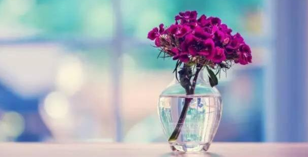 wps信息流广告有哪些流程？WPS跑农业成本是多少？