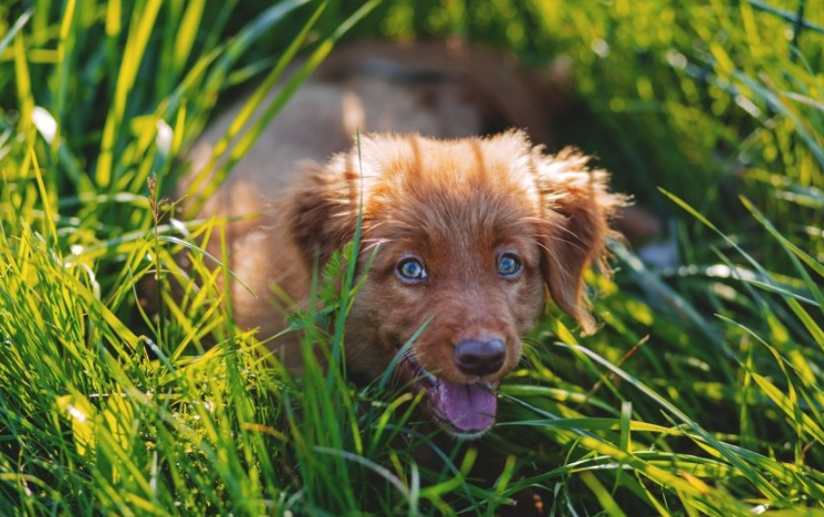 keep多少钱可以投放广告?keep跑医药返点多少？