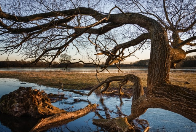 一点资讯现在跑广点通返点多少？一点资讯现在做推广效果怎么样？