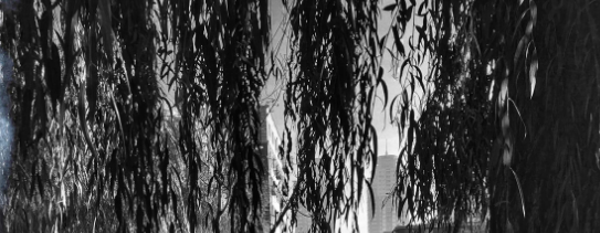 wps广告怎么收费？wps跑装修返点是多少？