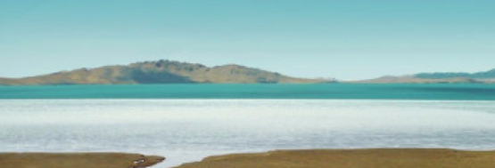 WPS现在跑装修成本是多少？wps广告怎么做？