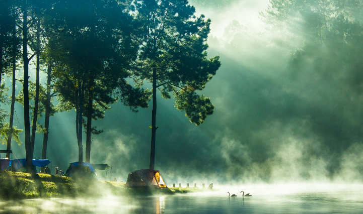 爱奇艺信息流怎么样？一般怎么投放？