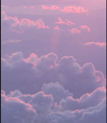 Pinterest跑环保广告怎么收费？Pinterest推广怎么做？