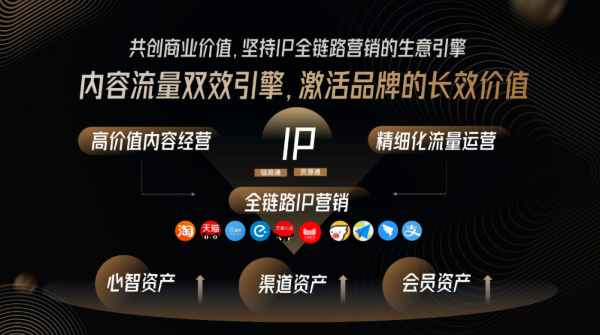 2022金投赏-优酷专场：IP全链路精细化模式 | 优酷广告