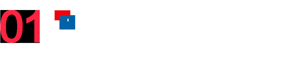 小红书广告营销—「它经济」怎么玩？点此找灵感！