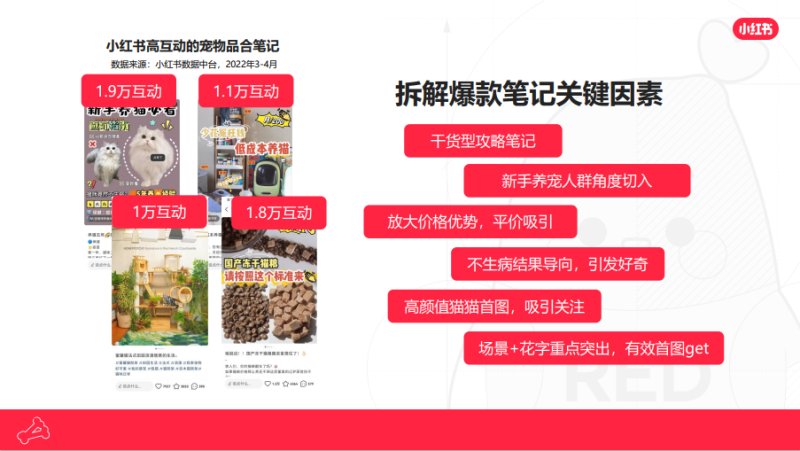 小红书广告营销—「它经济」怎么玩？点此找灵感！